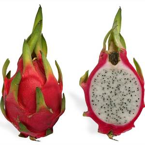 Dragon fruit